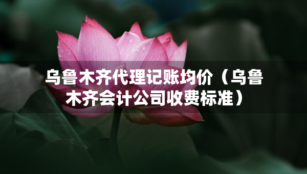 烏魯木齊代理記賬均價（烏魯木齊會計公司收費標(biāo)準(zhǔn)）