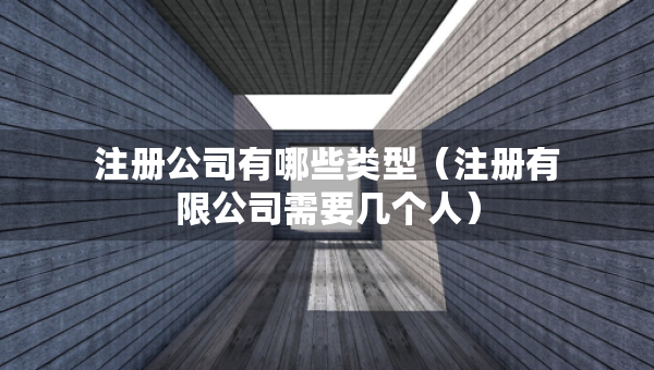 注冊公司有哪些類型（注冊有限公司需要幾個人）
