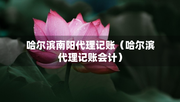 哈爾濱南陽代理記賬（哈爾濱代理記賬會計）