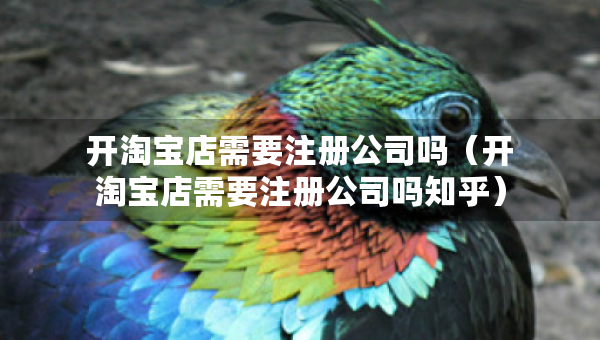 開淘寶店需要注冊公司嗎（開淘寶店需要注冊公司嗎知乎）