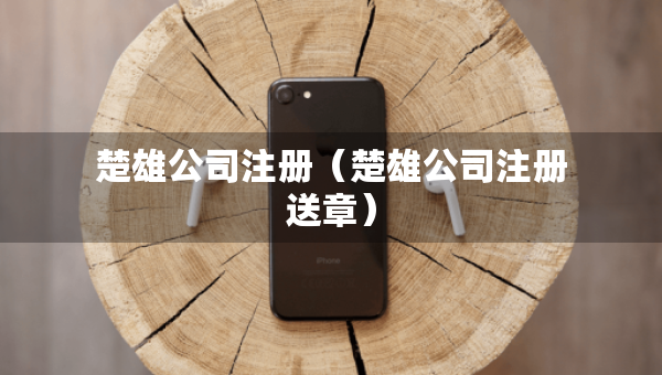 楚雄公司注冊(cè)（楚雄公司注冊(cè)送章）