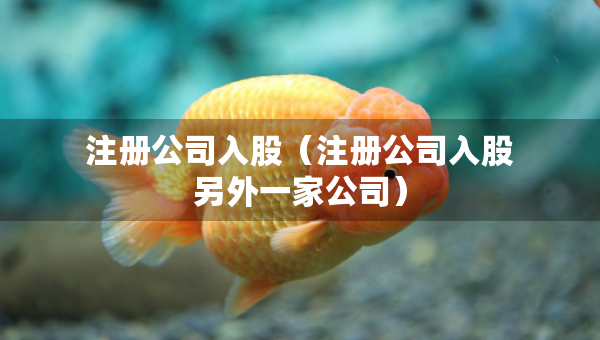 注冊公司入股（注冊公司入股另外一家公司）