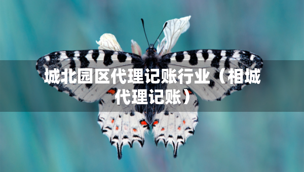城北園區(qū)代理記賬行業(yè)（相城代理記賬）