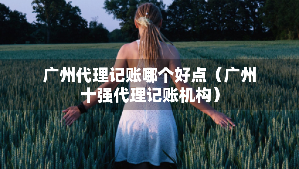 廣州代理記賬哪個好點(diǎn)（廣州十強(qiáng)代理記賬機(jī)構(gòu)）