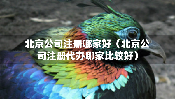 北京公司注冊(cè)哪家好（北京公司注冊(cè)代辦哪家比較好）