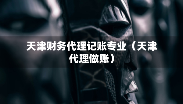 天津財(cái)務(wù)代理記賬專業(yè)（天津代理做賬）
