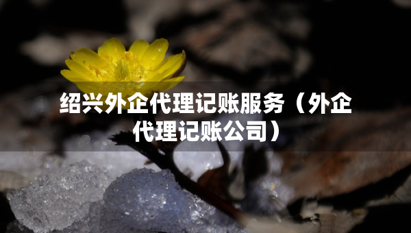 紹興外企代理記賬服務(wù)（外企代理記賬公司）