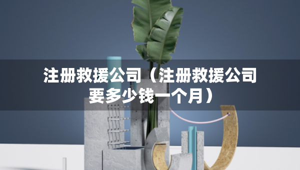 注冊(cè)救援公司（注冊(cè)救援公司要多少錢一個(gè)月）