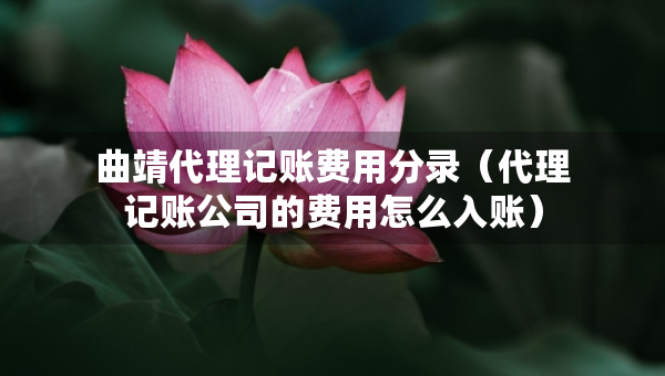 曲靖代理記賬費用分錄（代理記賬公司的費用怎么入賬）