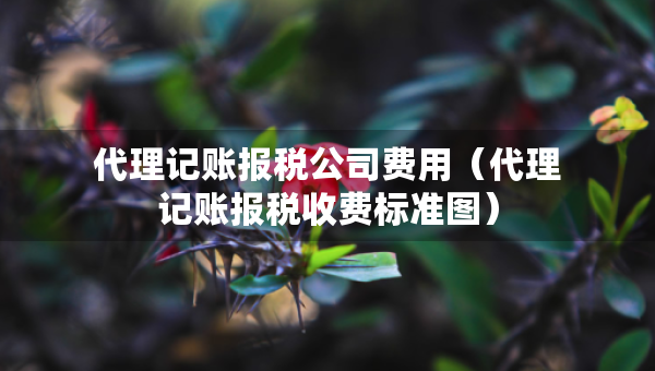 代理記賬報稅公司費用（代理記賬報稅收費標準圖）