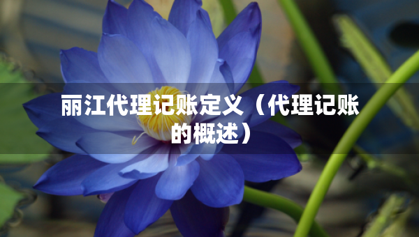 麗江代理記賬定義（代理記賬的概述）
