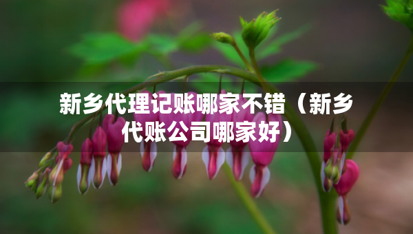新鄉(xiāng)代理記賬哪家不錯(cuò)（新鄉(xiāng)代賬公司哪家好）