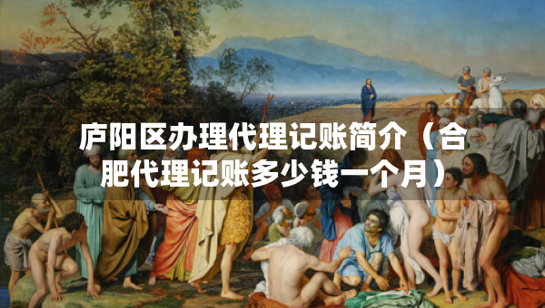 廬陽區(qū)辦理代理記賬簡介（合肥代理記賬多少錢一個月）