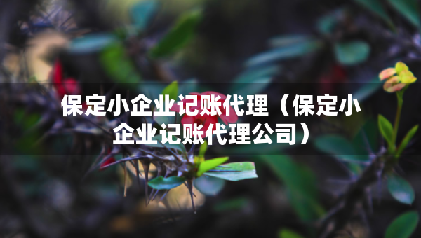 保定小企業(yè)記賬代理（保定小企業(yè)記賬代理公司）