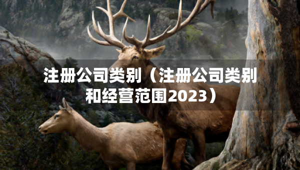 注冊公司類別（注冊公司類別和經(jīng)營范圍2023）
