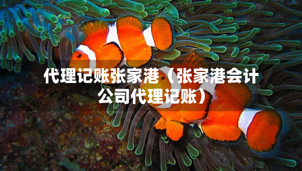 代理記賬張家港（張家港會計公司代理記賬）