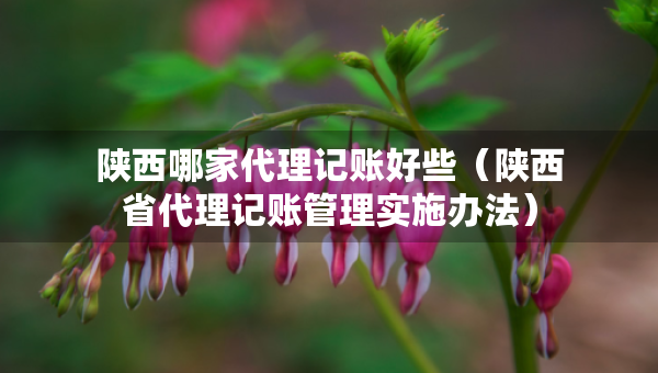 陜西哪家代理記賬好些（陜西省代理記賬管理實(shí)施辦法）