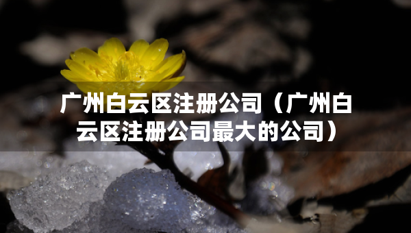 廣州白云區(qū)注冊公司（廣州白云區(qū)注冊公司最大的公司）