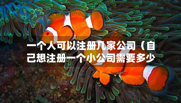 一個人可以注冊幾家公司（自己想注冊一個小公司需要多少錢）