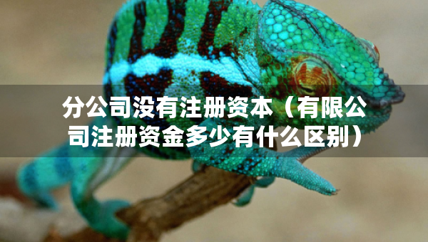 分公司沒有注冊資本（有限公司注冊資金多少有什么區(qū)別）