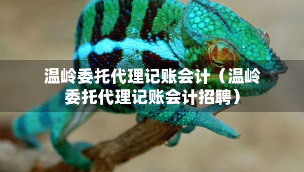 溫嶺委托代理記賬會(huì)計(jì)（溫嶺委托代理記賬會(huì)計(jì)招聘）