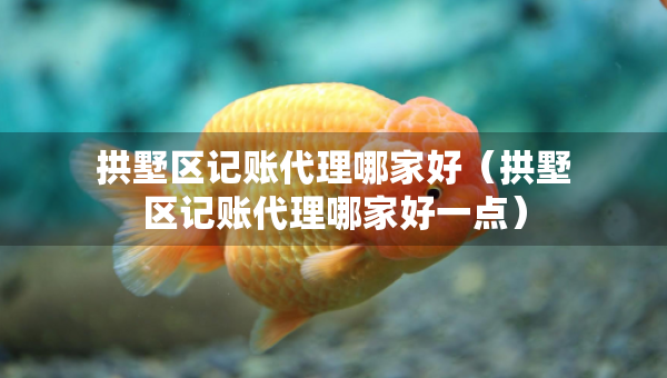 拱墅區(qū)記賬代理哪家好（拱墅區(qū)記賬代理哪家好一點(diǎn)）