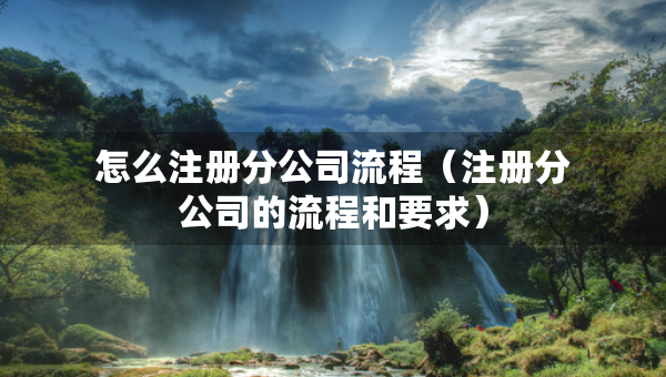 怎么注冊分公司流程（注冊分公司的流程和要求）