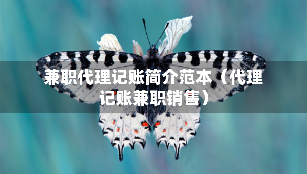 兼職代理記賬簡介范本（代理記賬兼職銷售）