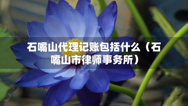 石嘴山代理記賬包括什么（石嘴山市律師事務(wù)所）