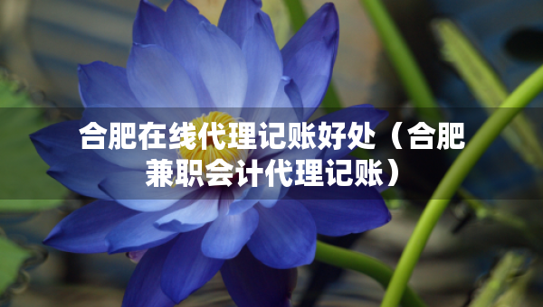 合肥在線代理記賬好處（合肥兼職會計代理記賬）