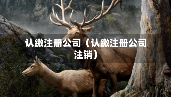認(rèn)繳注冊(cè)公司（認(rèn)繳注冊(cè)公司注銷）