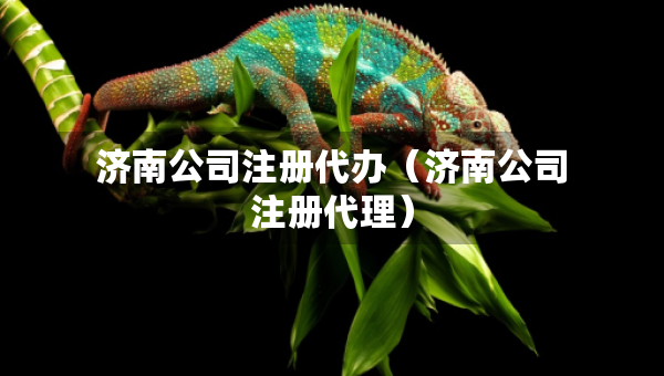 濟南公司注冊代辦（濟南公司注冊代理）