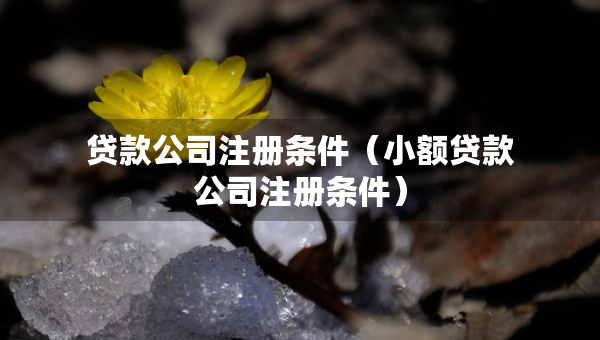 貸款公司注冊條件（小額貸款公司注冊條件）
