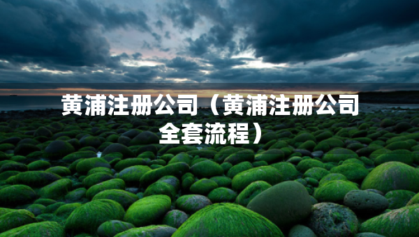 黃浦注冊(cè)公司（黃浦注冊(cè)公司全套流程）