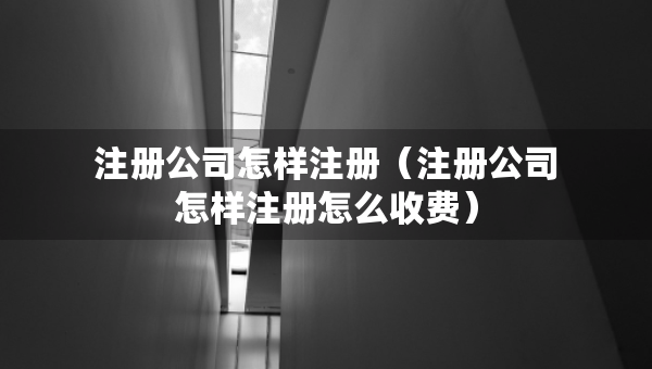 注冊公司怎樣注冊（注冊公司怎樣注冊怎么收費）