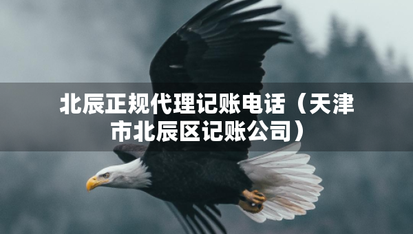 北辰正規(guī)代理記賬電話（天津市北辰區(qū)記賬公司）