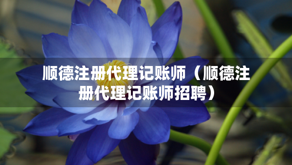 順德注冊(cè)代理記賬師（順德注冊(cè)代理記賬師招聘）