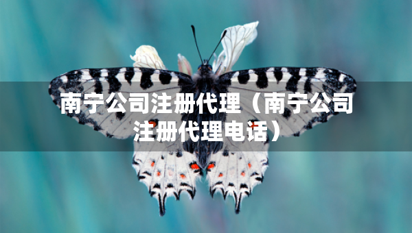 南寧公司注冊代理（南寧公司注冊代理電話）