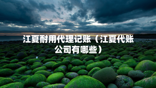 江夏耐用代理記賬（江夏代賬公司有哪些）
