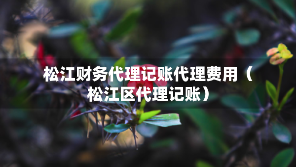 松江財(cái)務(wù)代理記賬代理費(fèi)用（松江區(qū)代理記賬）
