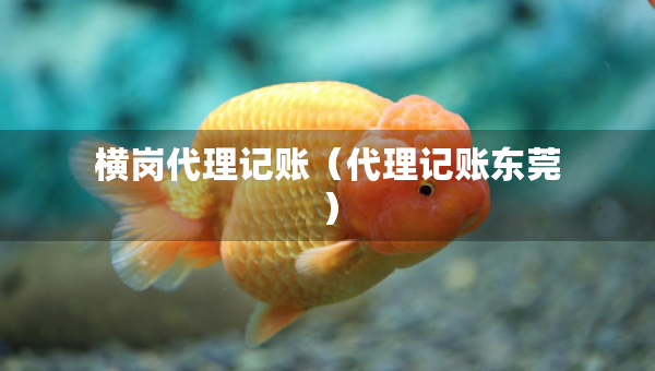 橫崗代理記賬（代理記賬東莞）