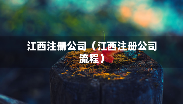 江西注冊公司（江西注冊公司流程）