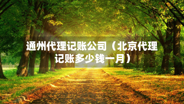 通州代理記賬公司（北京代理記賬多少錢一月）