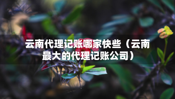 云南代理記賬哪家快些（云南最大的代理記賬公司）