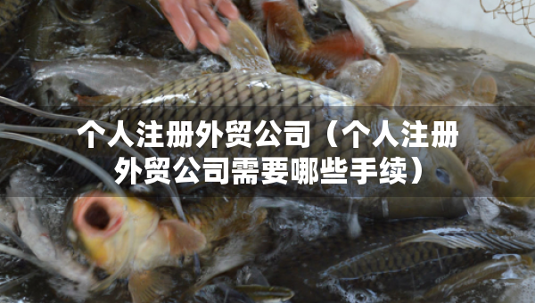 個人注冊外貿(mào)公司（個人注冊外貿(mào)公司需要哪些手續(xù)）