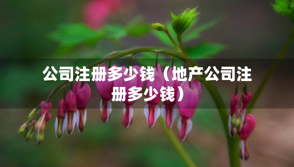 公司注冊多少錢（地產(chǎn)公司注冊多少錢）