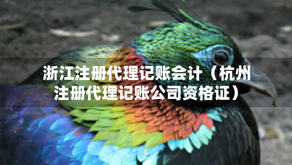 浙江注冊代理記賬會計（杭州注冊代理記賬公司資格證）