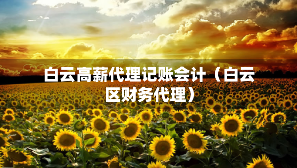 白云高薪代理記賬會計(jì)（白云區(qū)財(cái)務(wù)代理）