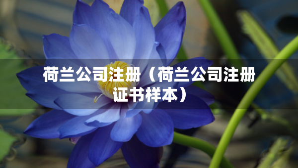荷蘭公司注冊(cè)（荷蘭公司注冊(cè)證書(shū)樣本）