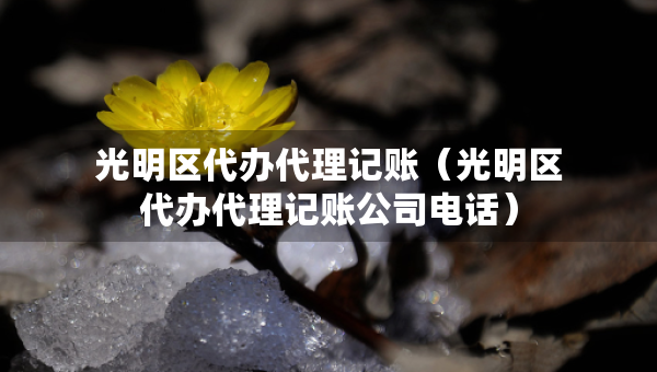 光明區(qū)代辦代理記賬（光明區(qū)代辦代理記賬公司電話）